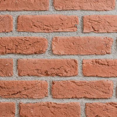 Olbrick Cotto