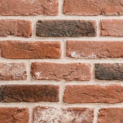 Olbrick Rojo