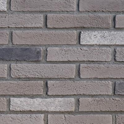 Thinbrick Arena